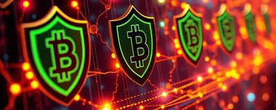 Privacy Coins: Anonymity in the Digital Age