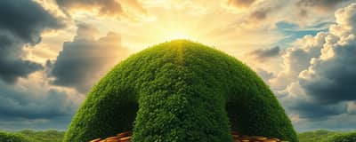 The Art of the Hedge: Protecting Your Wealth in Any Climate