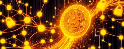 The Anatomy of a Blockchain Transaction