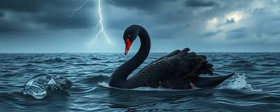 The Black Swan Whisperer: Anticipating the Unforeseeable